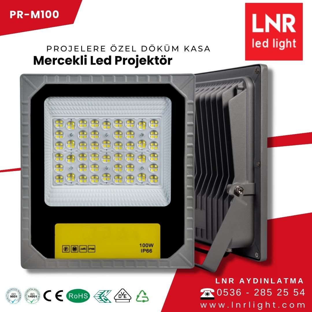 100W PROJECTOR PRO SERIES